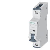 Автоматический выключатель Siemens 5SY4103-8