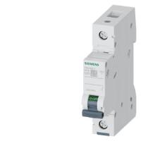 Автоматический выключатель Siemens 5SL6120-7