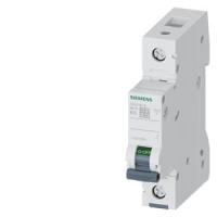 Автоматический выключатель Siemens 5SL6110-6