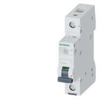 Автоматический выключатель Siemens 5SL6105-7