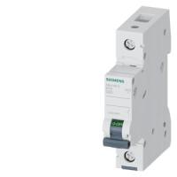 Автоматический выключатель Siemens 5SL4120-8
