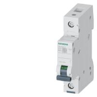 Автоматический выключатель Siemens 5SL6125-6