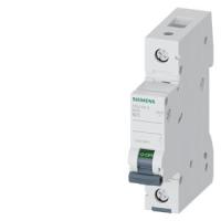 Автоматический выключатель Siemens 5SL4125-6